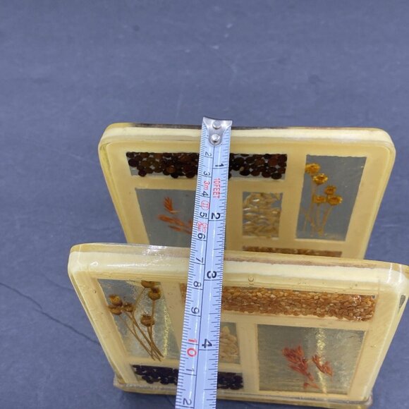 Vtg Napkin Holder 70's Lucite Resin Acrylic Seeds Flowers Farmhouse Granola - Picture 10 of 12
